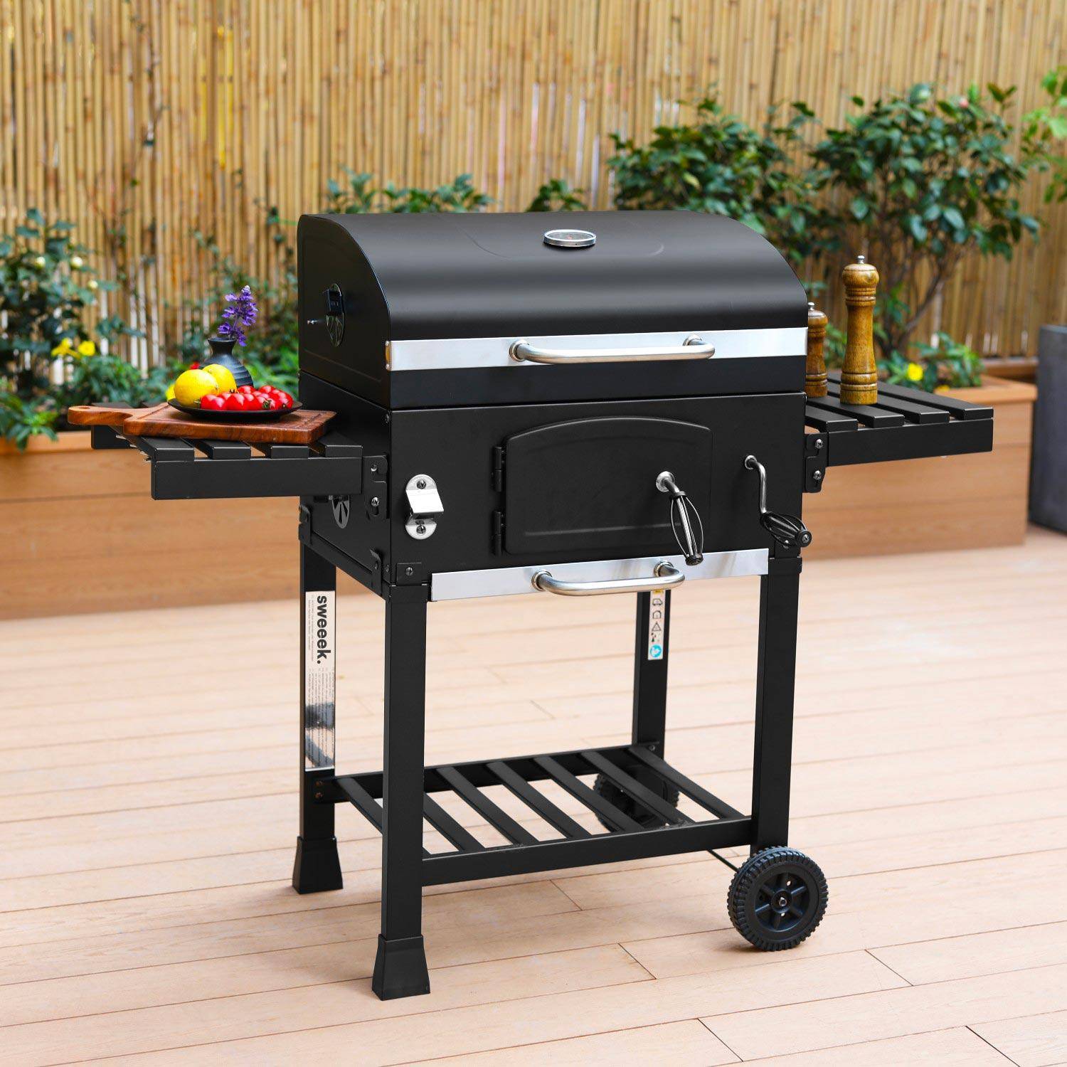 Barbecue a carvão